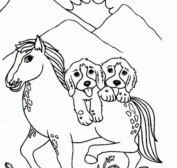 Dva psi na poníkovi omalovánka