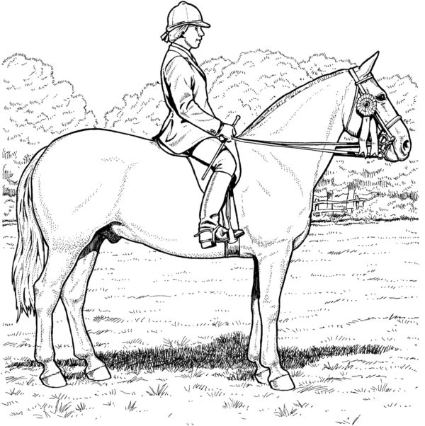 Jezdec a kůň omalovánka
