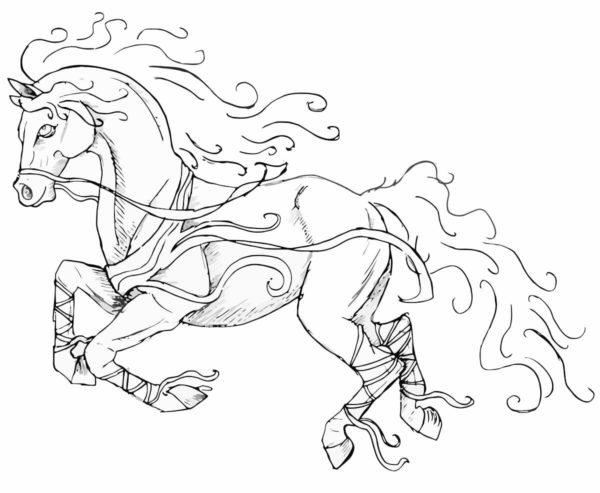Kůň s krásnou hřívou. omalovánka