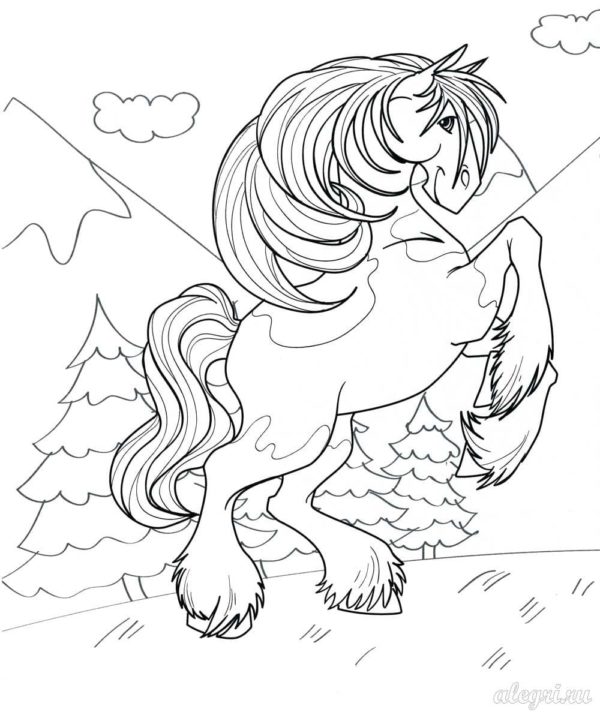 Kůň v horách omalovánka