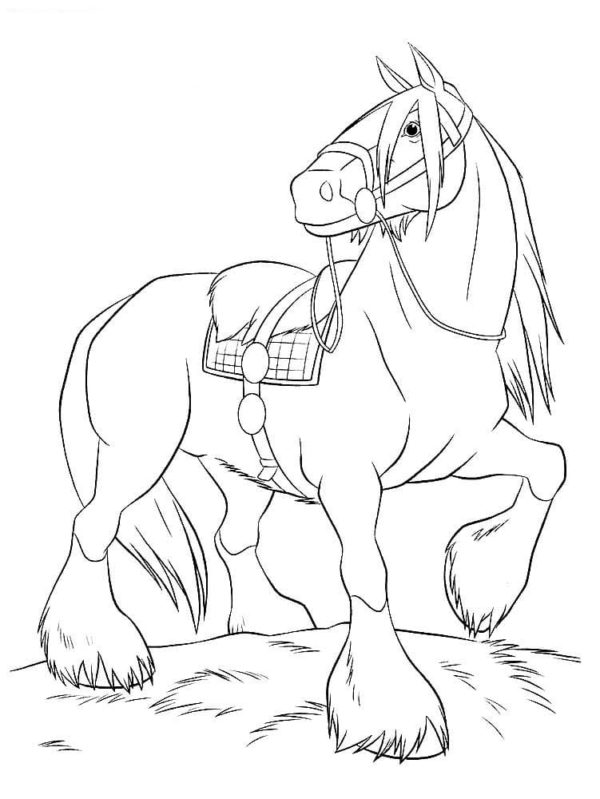 Sedlový kůň omalovánka