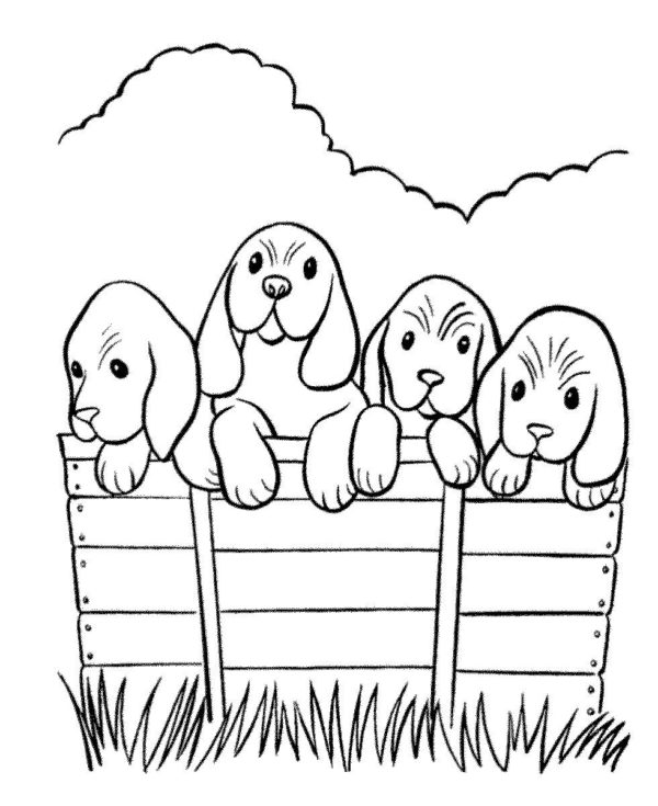 Zpoza plotu koukají psi omalovánka