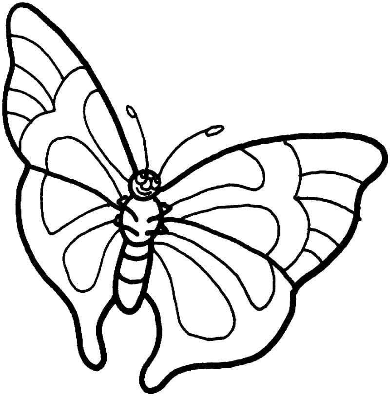 Animovaný motýl omalovánka