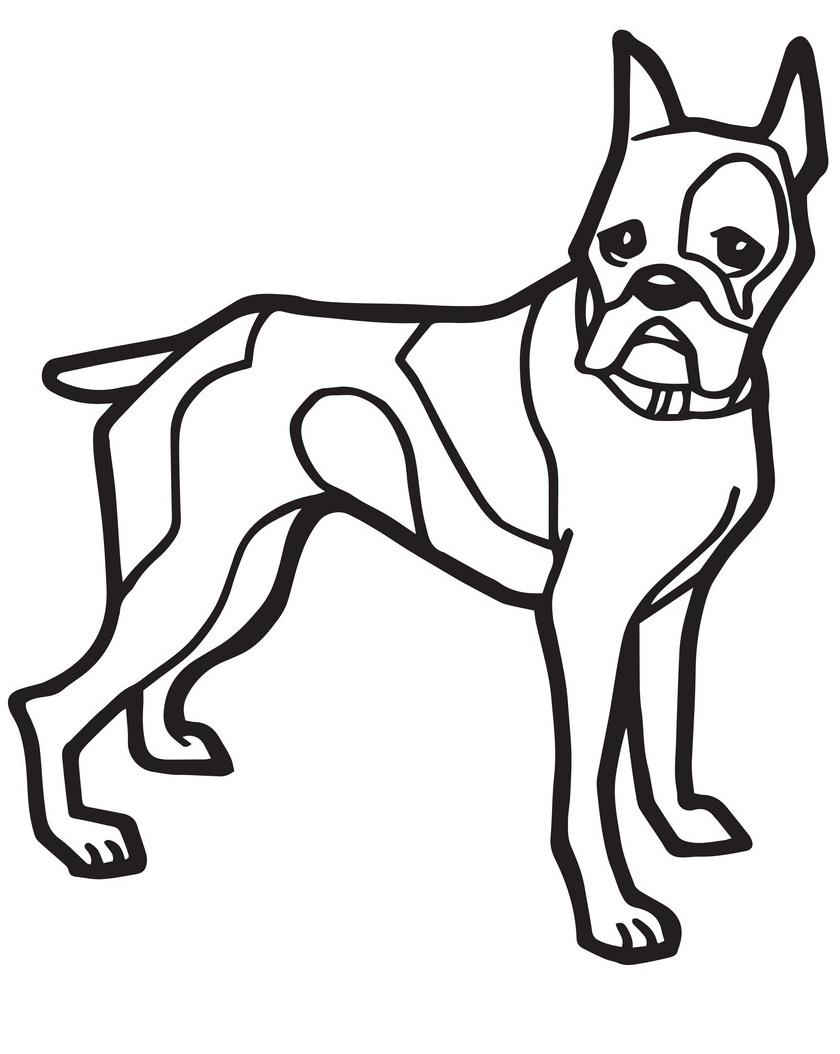 Boxerský pes omalovánka