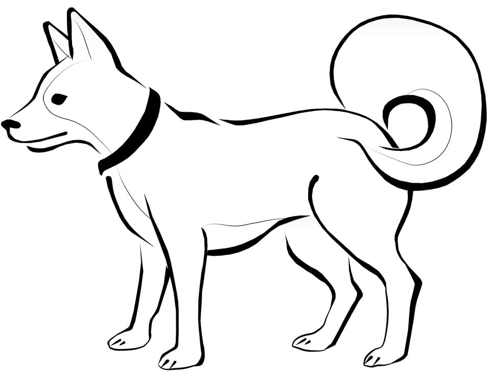 Eskymácký pes omalovánka