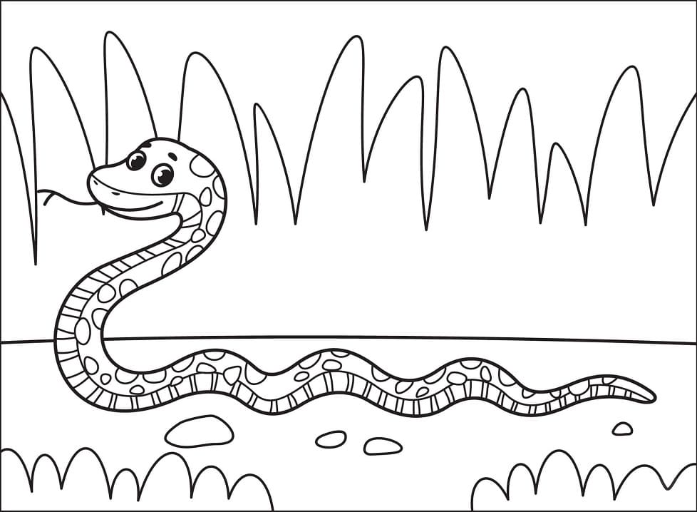 Had č. 1 omalovánka