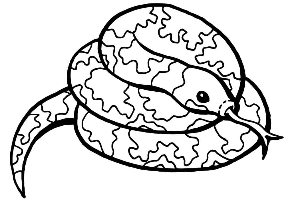 Had č. 16 omalovánka