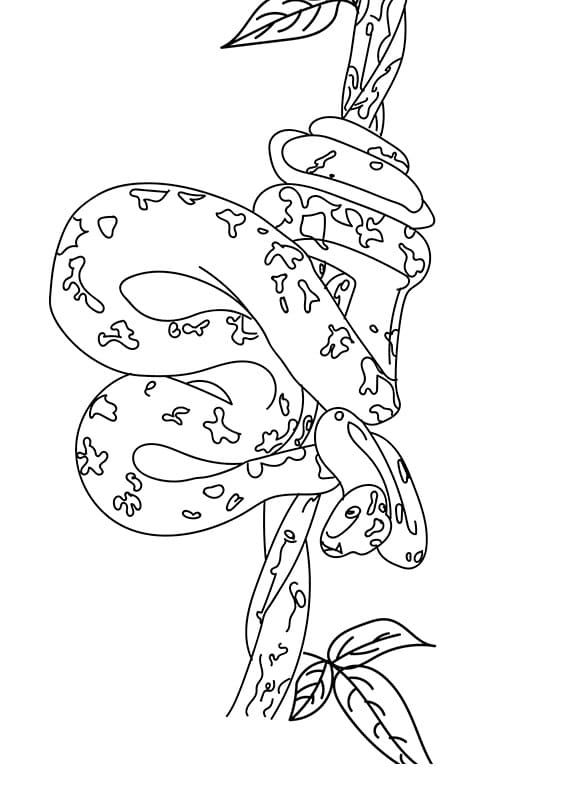 Had č. 26 omalovánka