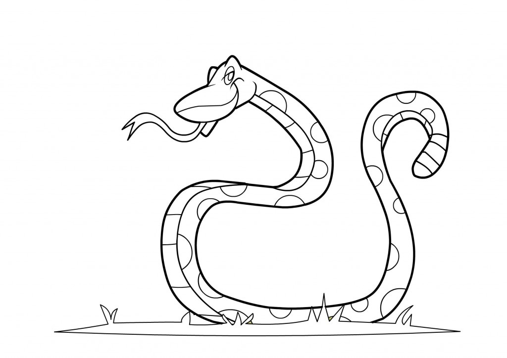 Had číslo 15 omalovánka