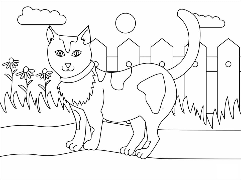 Kočka u plotu omalovánka