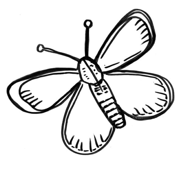 Kresba motýla omalovánka