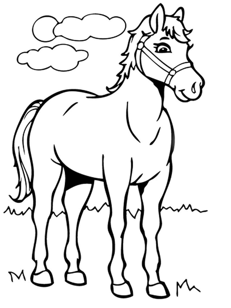 kreslený kůň omalovánka