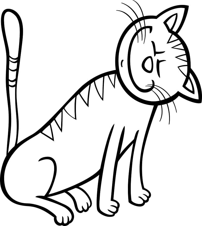 Legrační kreslená kočka omalovánka