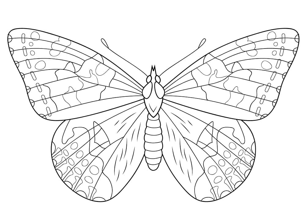 Malovaný motýl Lady omalovánka