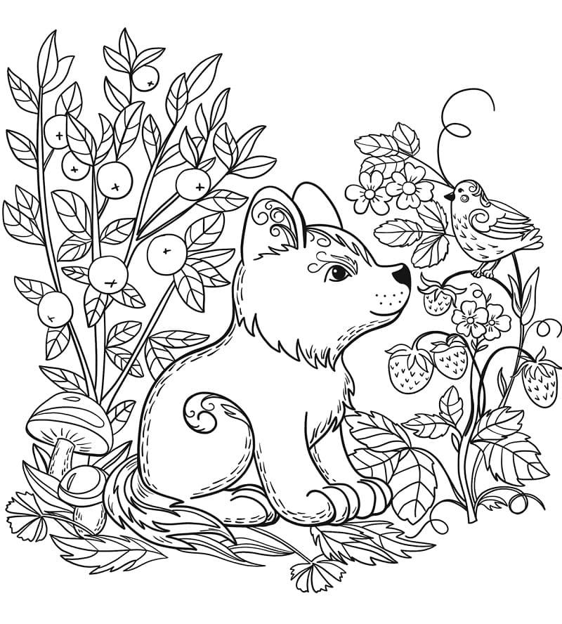 Malý pes v lese omalovánka