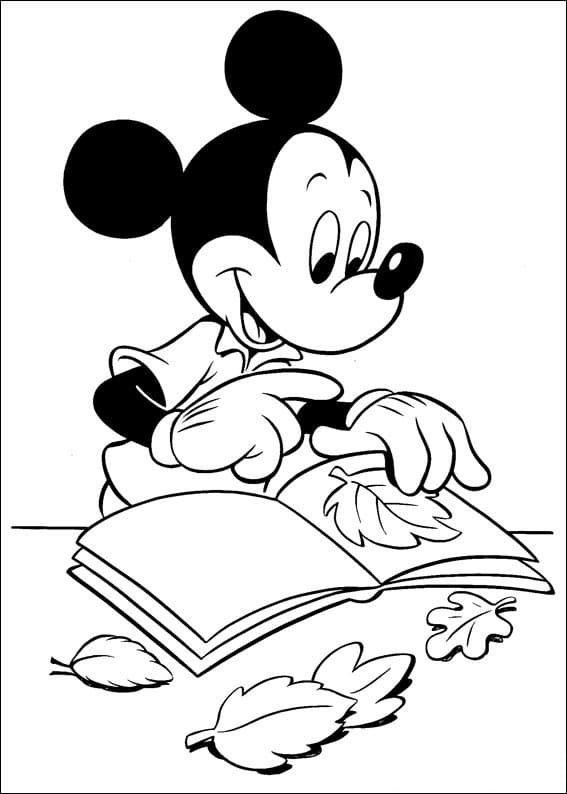 Mickey s knihou omalovánka