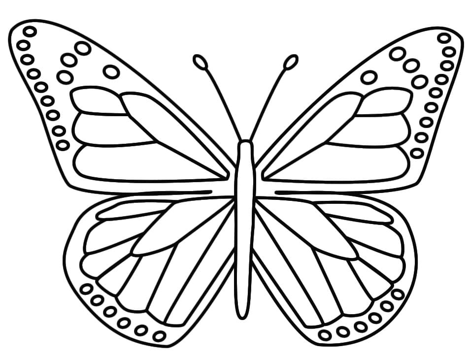Motýl 2 omalovánka