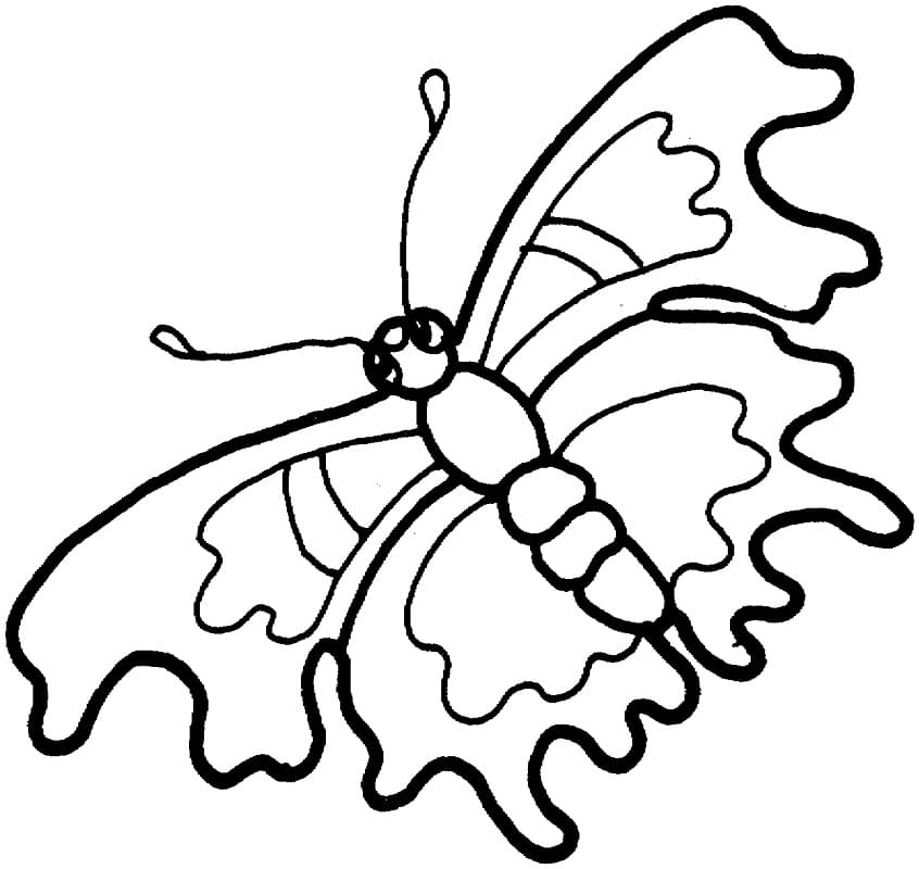 Motýl k tisku zdarma omalovánka