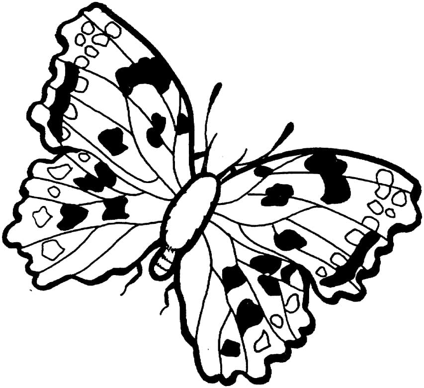 Motýl k tisku omalovánka