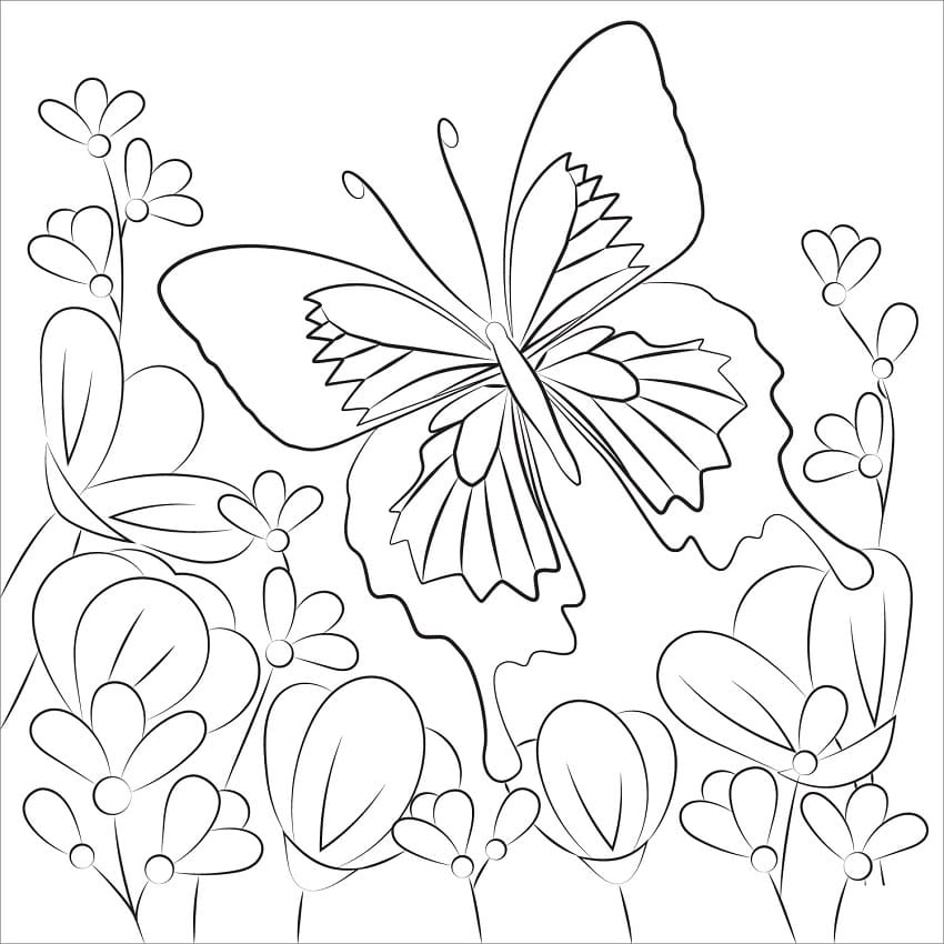 Motýl v květinové zahradě omalovánka
