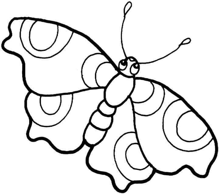 Motýl zdarma omalovánka