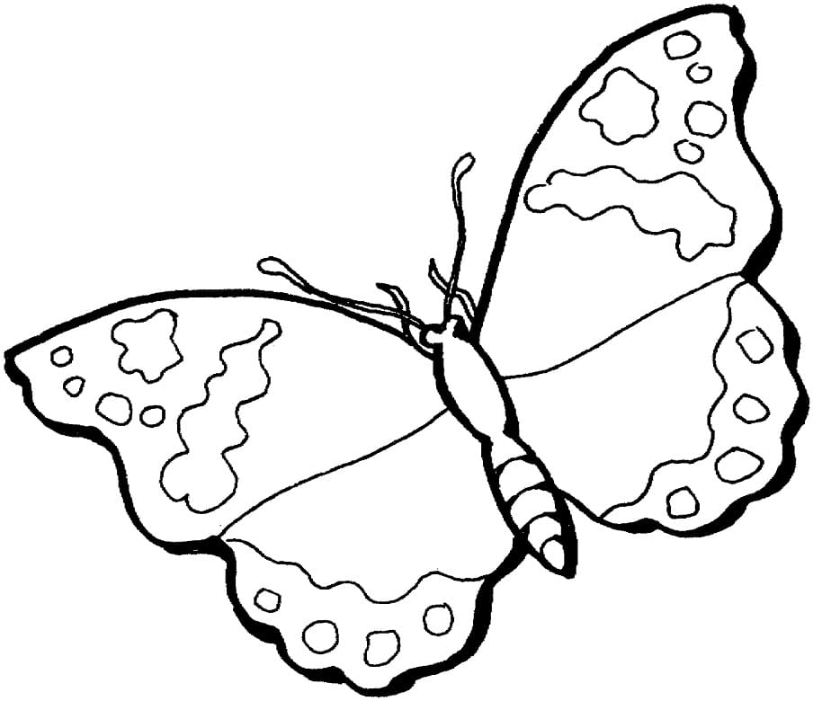 Motýlek pro děti omalovánka