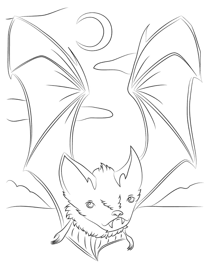 Roztomilý netopýr omalovánka