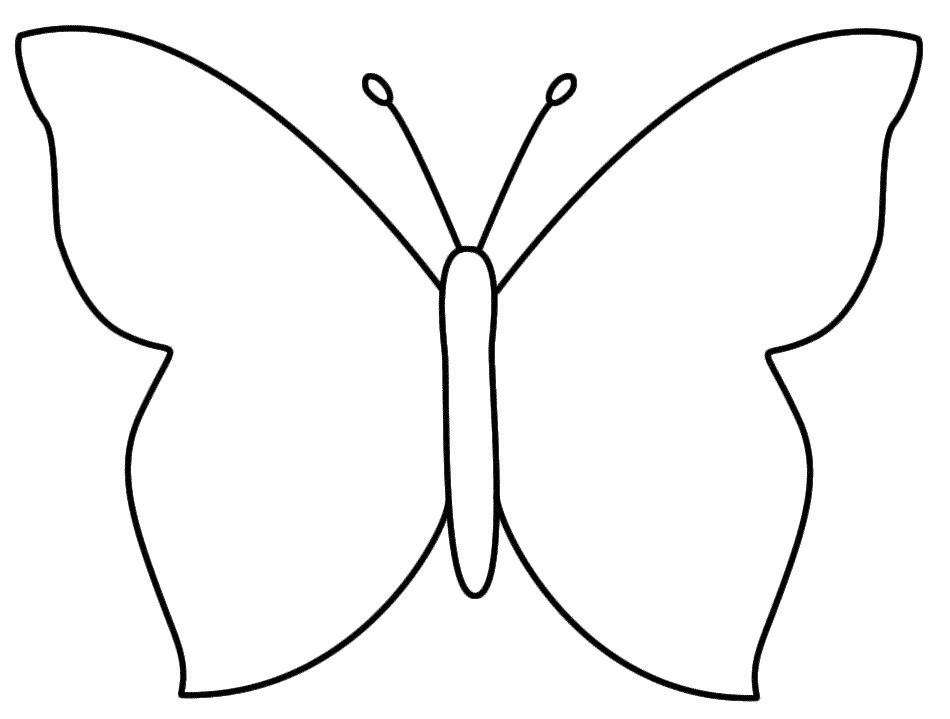 Omalovánka Skvělý motýl číslo 3