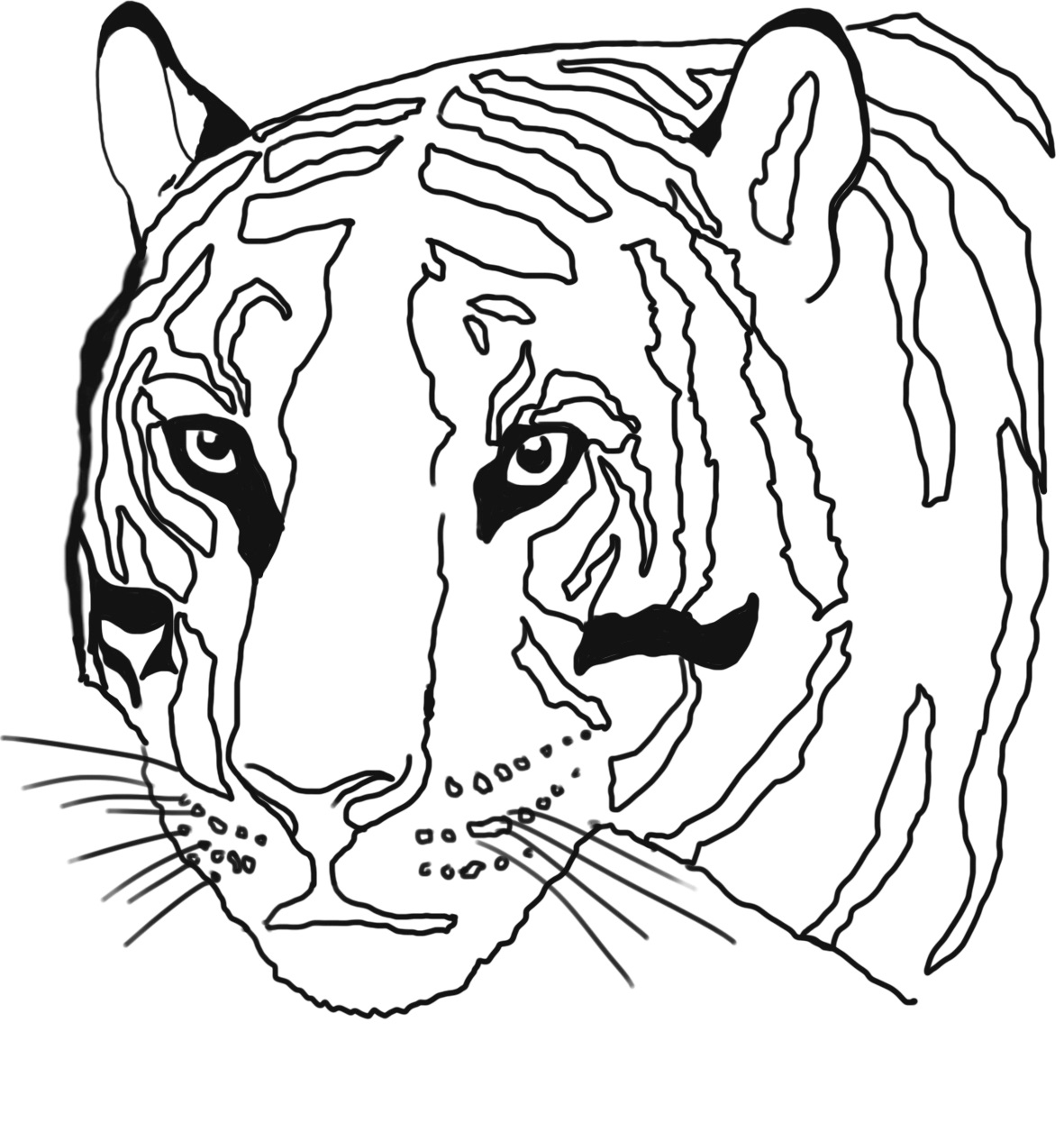 Tygr číslo 12 omalovánka