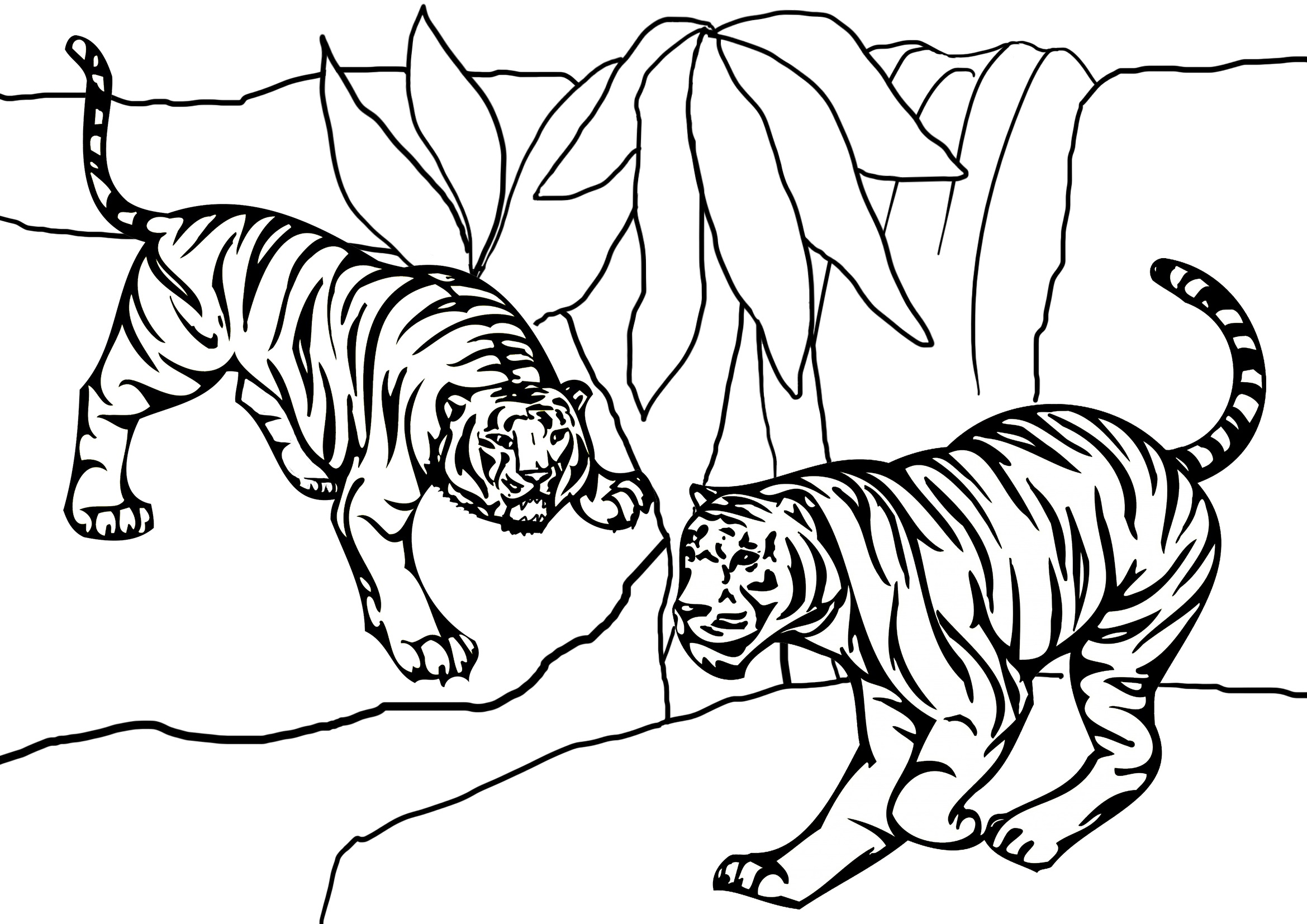 Tygr číslo 14 omalovánka