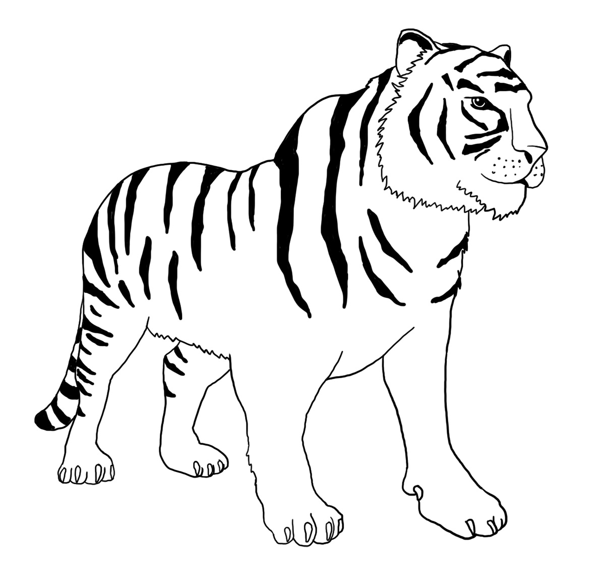 Tygr číslo 16 omalovánka