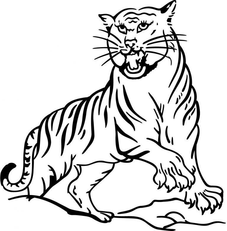 Tygr číslo 17 omalovánka