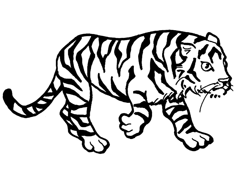 Tygr číslo 28 omalovánka