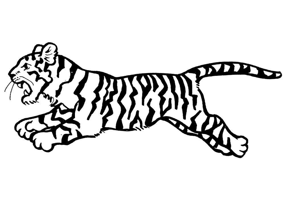 Tygr číslo 29 omalovánka