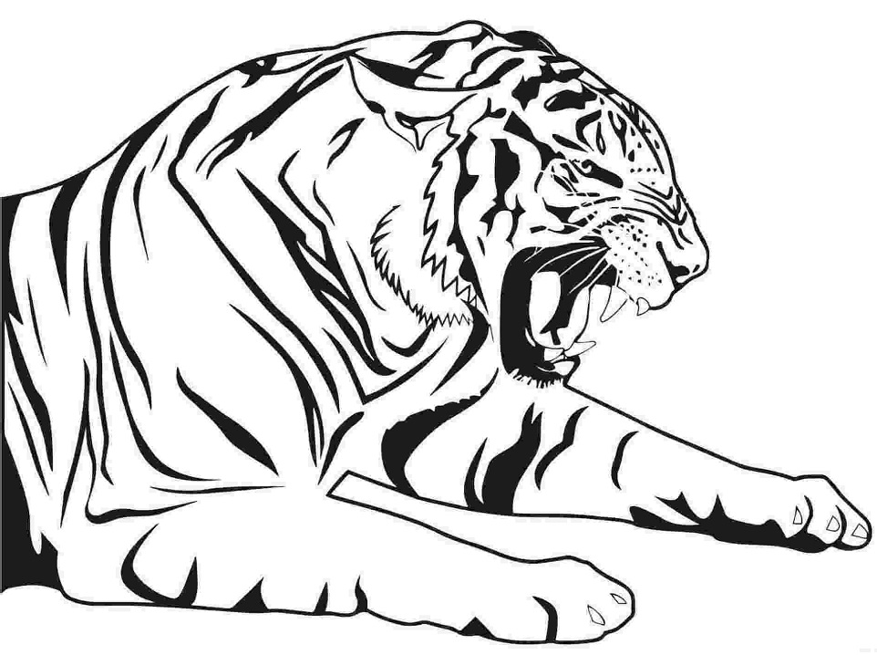 Tygr číslo 4 omalovánka
