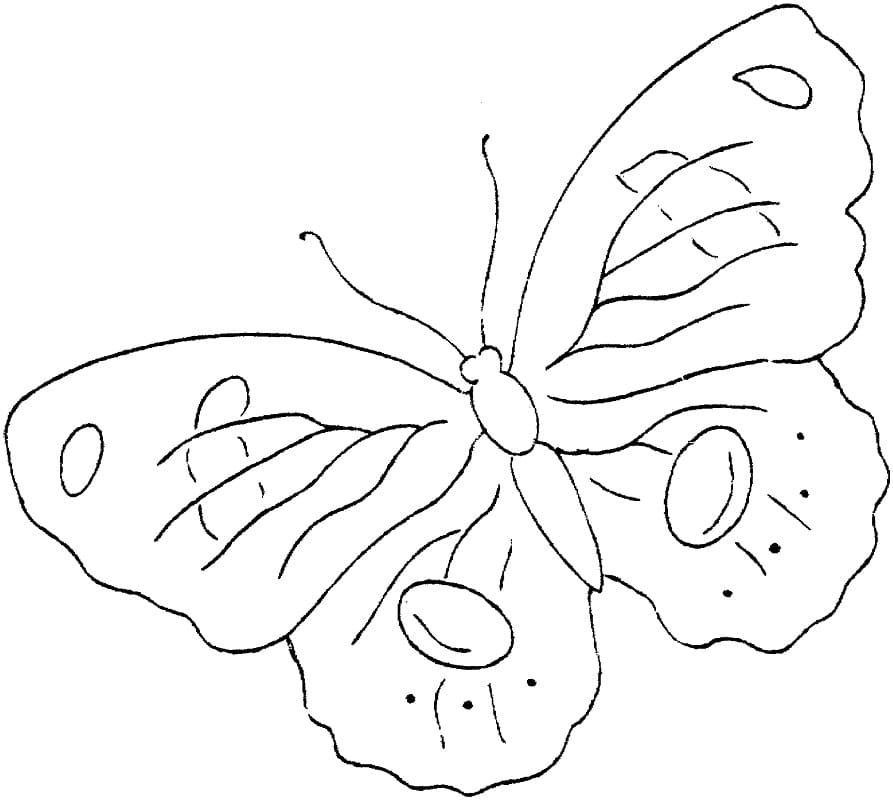 Velmi snadný motýl omalovánka