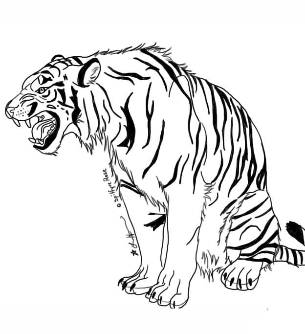 Omalovánka Vrčící tygr