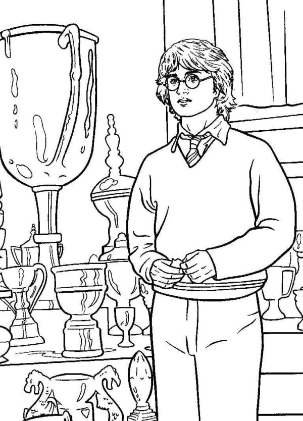 Omalovánka Harry Potter v Ohnivém poháru.