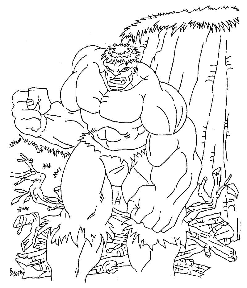 Hulk v lese omalovánka