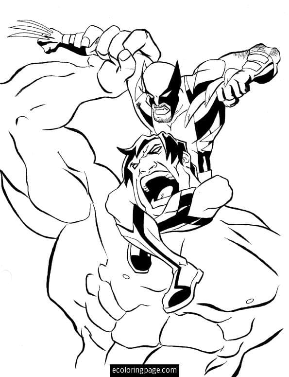 Hulk vs. Wolverine omalovánka
