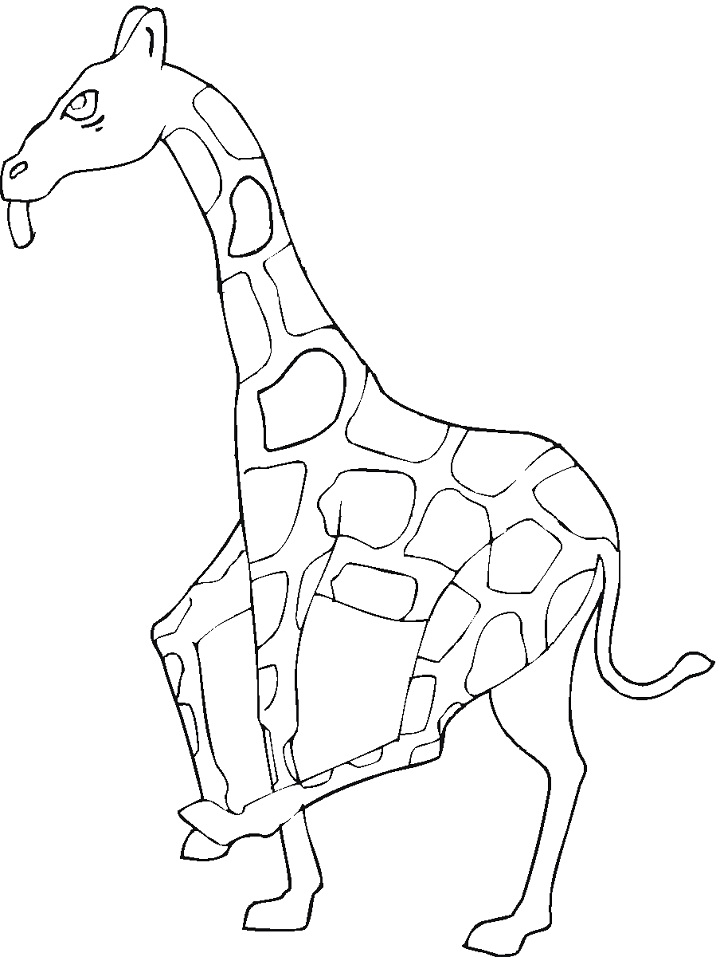 Žirafa 10 omalovánka