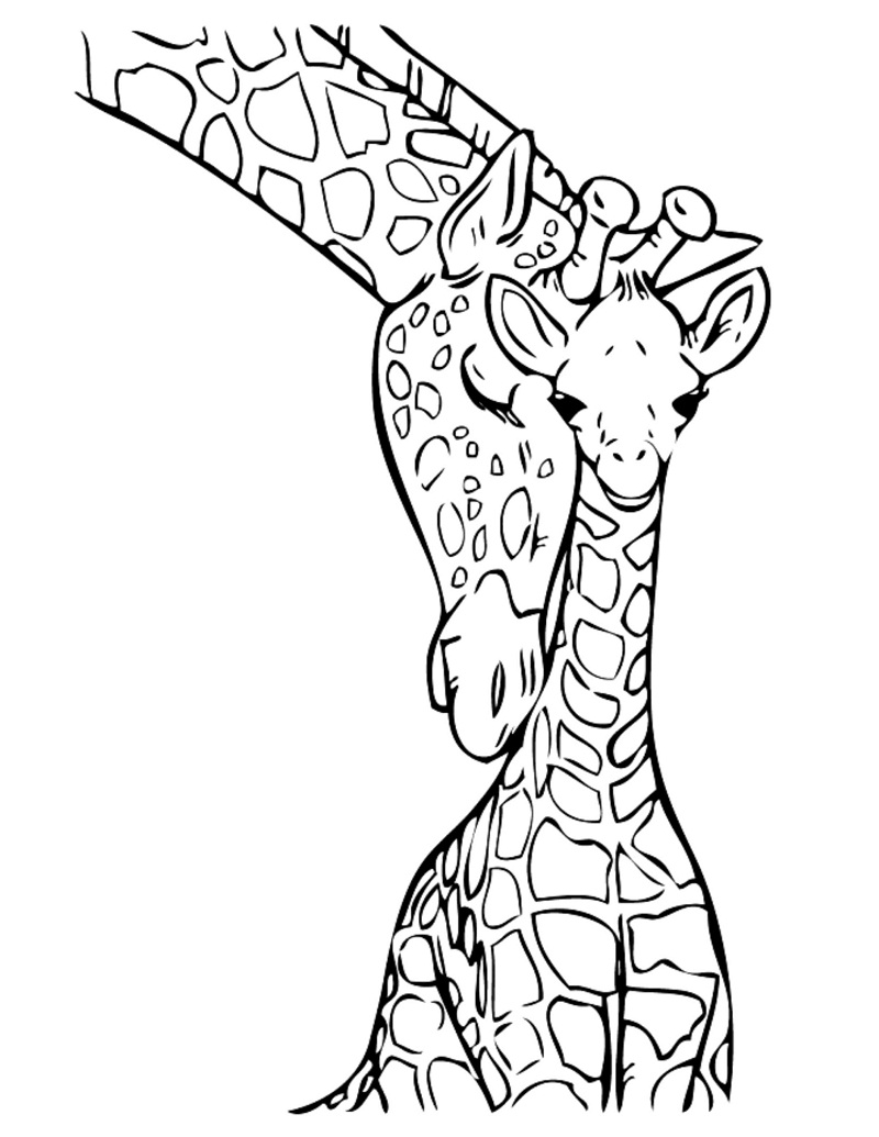 Žirafa 14 omalovánka