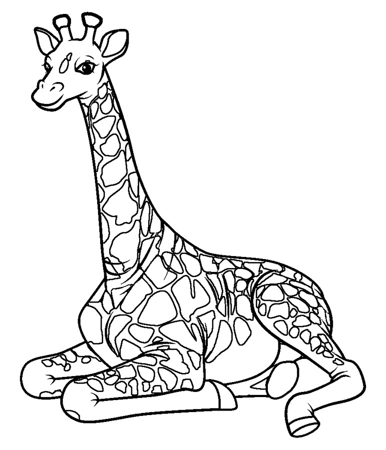 Žirafa 22 omalovánka
