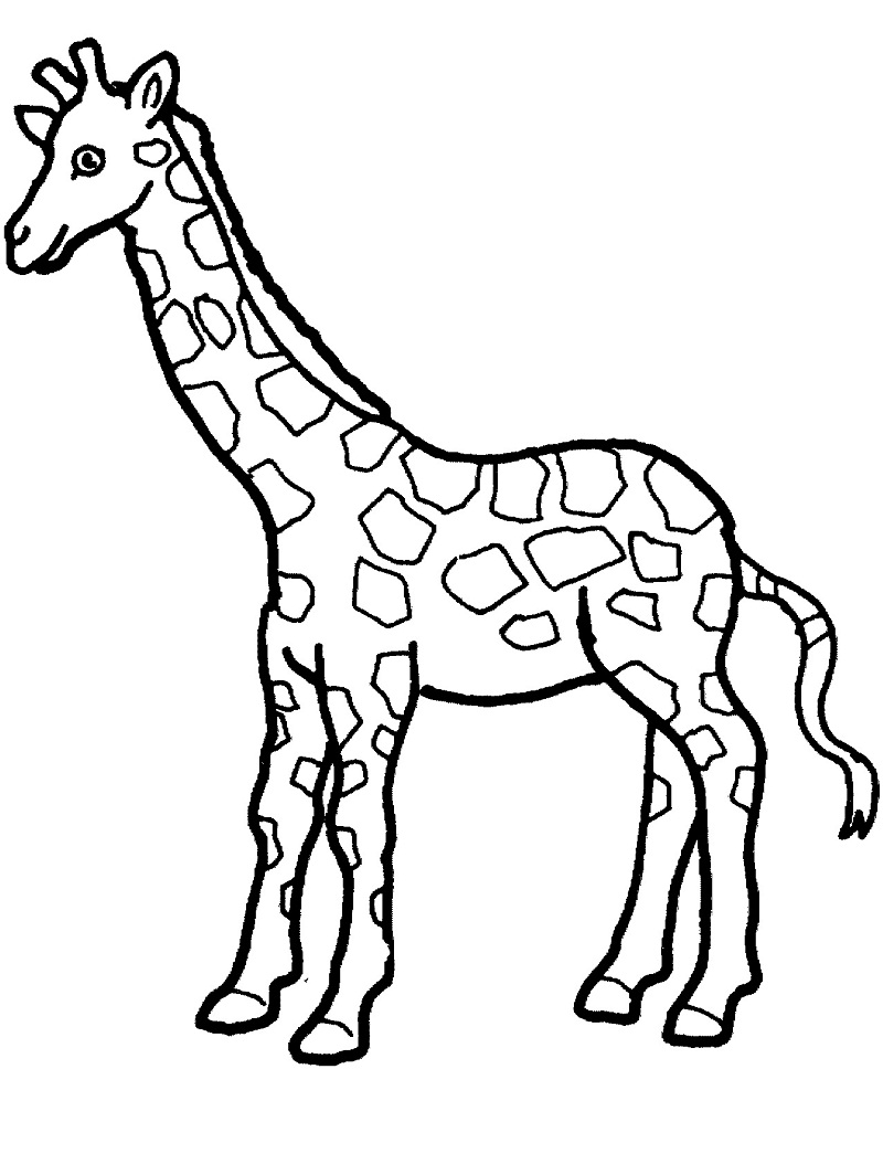 Žirafa 25 omalovánka