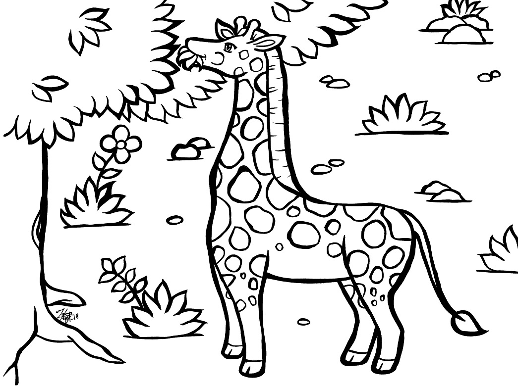 Žirafa 3 omalovánka