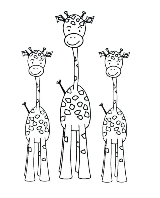 Žirafa 32 omalovánka