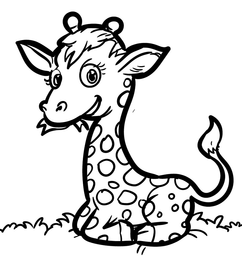 Žirafa 34 omalovánka