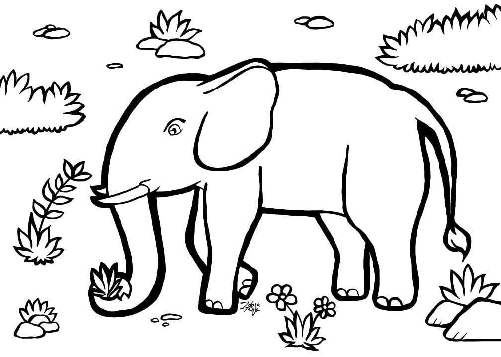 Printable Elephant coloring page omalovánka