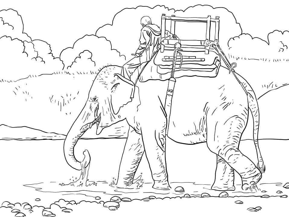 Riding Elephant coloring page omalovánka