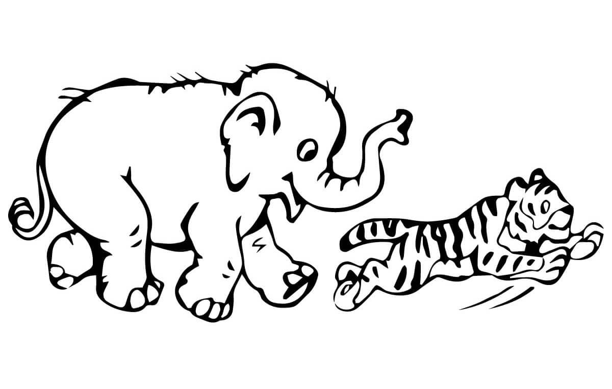 Tiger and Elephant coloring page omalovánka
